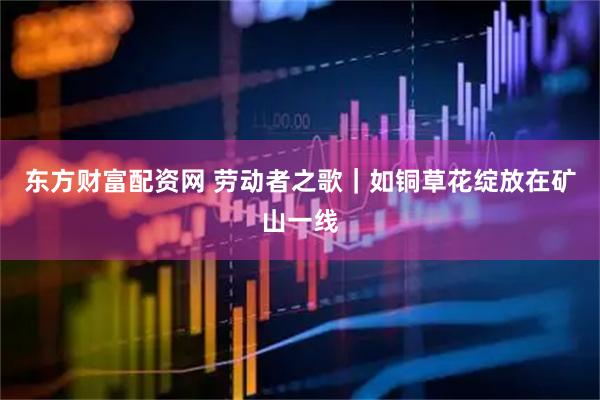 东方财富配资网 劳动者之歌｜如铜草花绽放在矿山一线