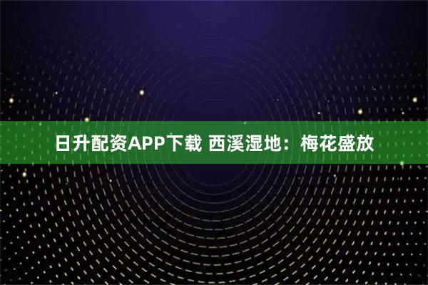 日升配资APP下载 西溪湿地：梅花盛放